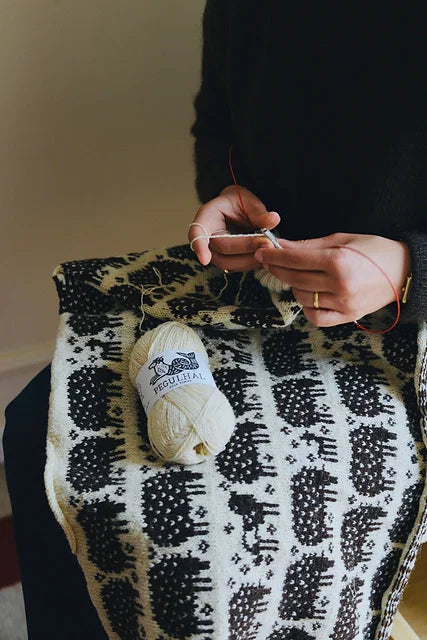 Sheep Sweater Knitting Pattern