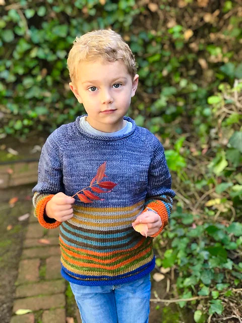 Kids Roll Raglan Knitting Pattern