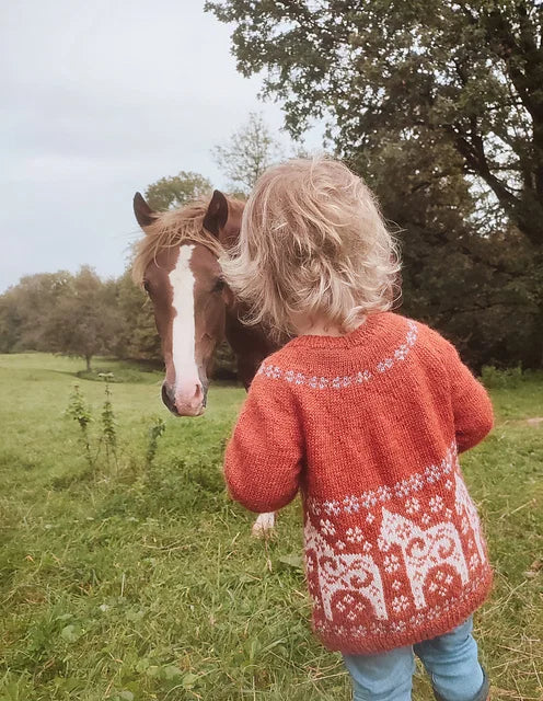 Kids Horse Sweater Knitting Pattern