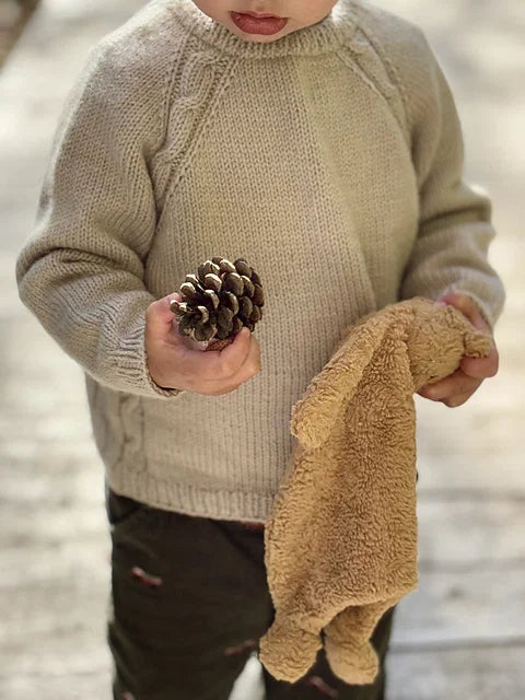 Baby Raglan Sweater Knitting Pattern